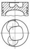 NüRAL 87-248000-30 Piston